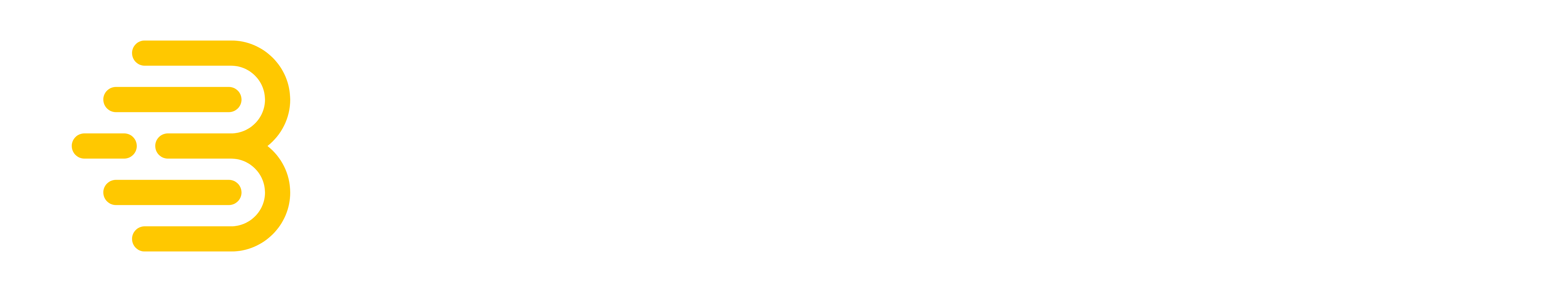 Bauch Media
